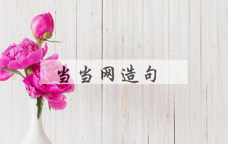 用当当网造句