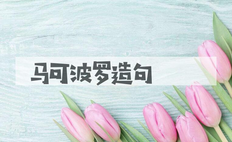 用马可波罗造句