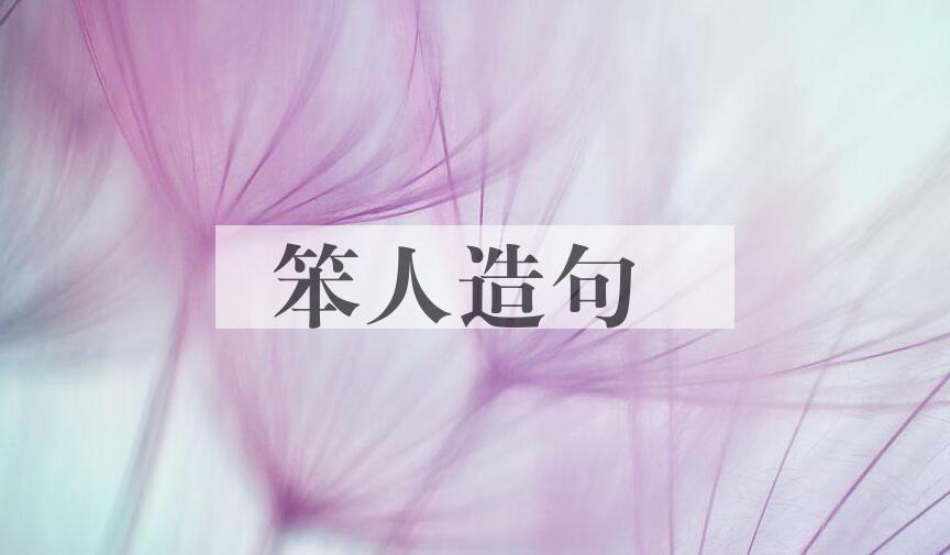 用笨人造句