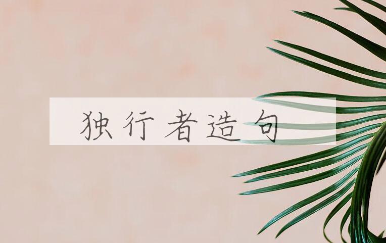 用独行者造句