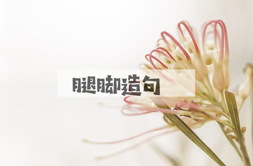 用腿脚造句