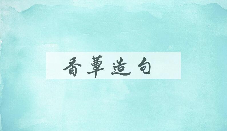 用香蕈造句