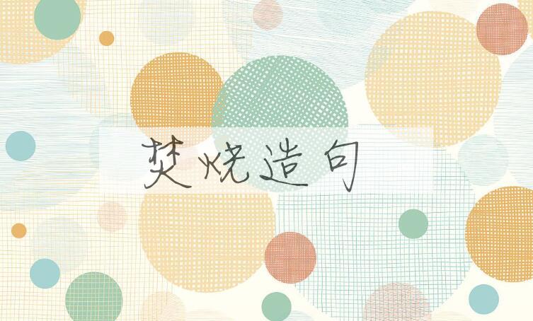 用焚烧造句
