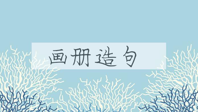 用画册造句