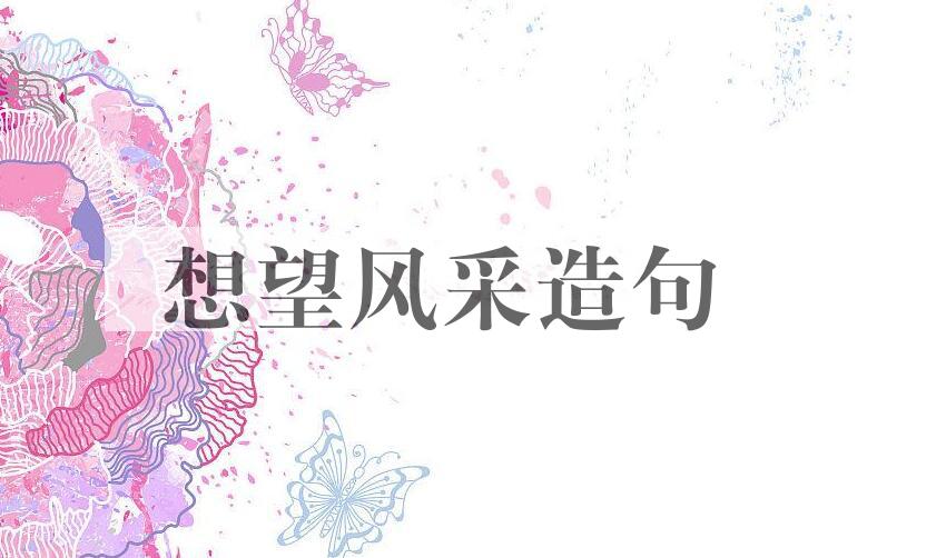 用想望风采造句