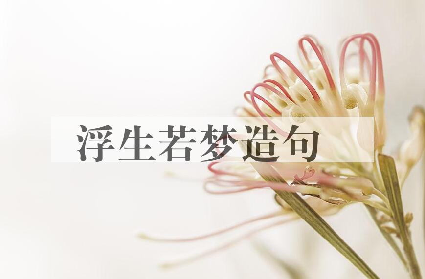 用浮生若梦造句