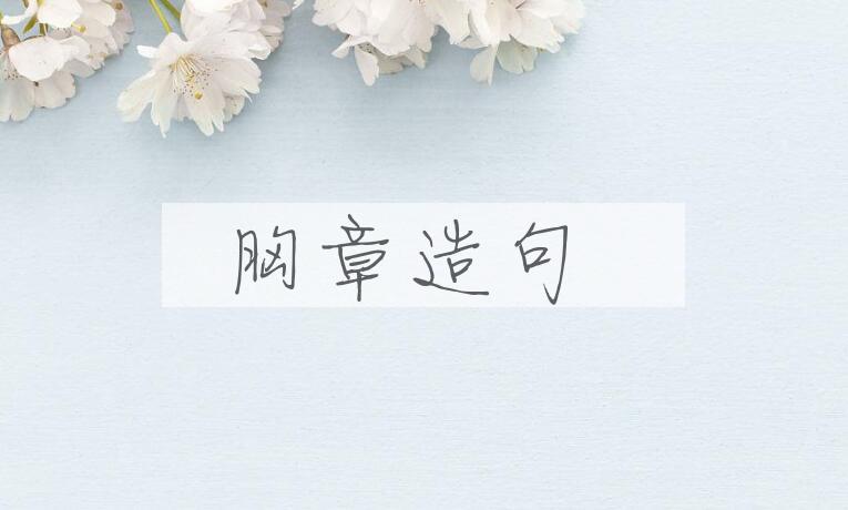 用胸章造句