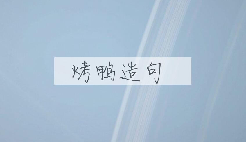 用烤鸭造句
