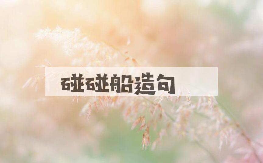 用碰碰船造句