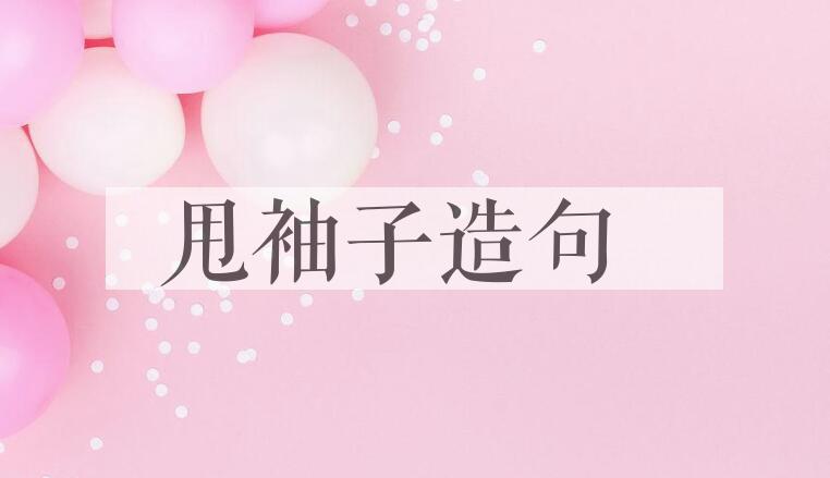 用甩袖子造句