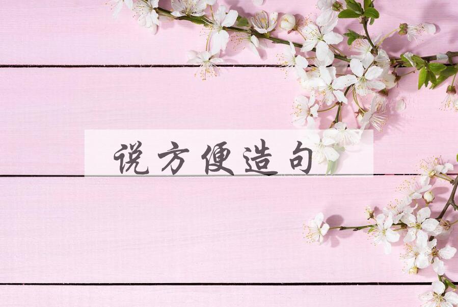 用说方便造句