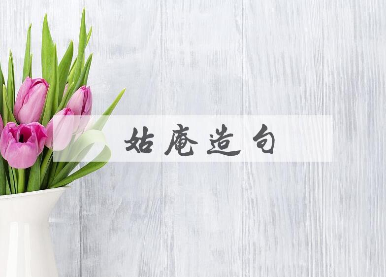 用尼姑庵造句