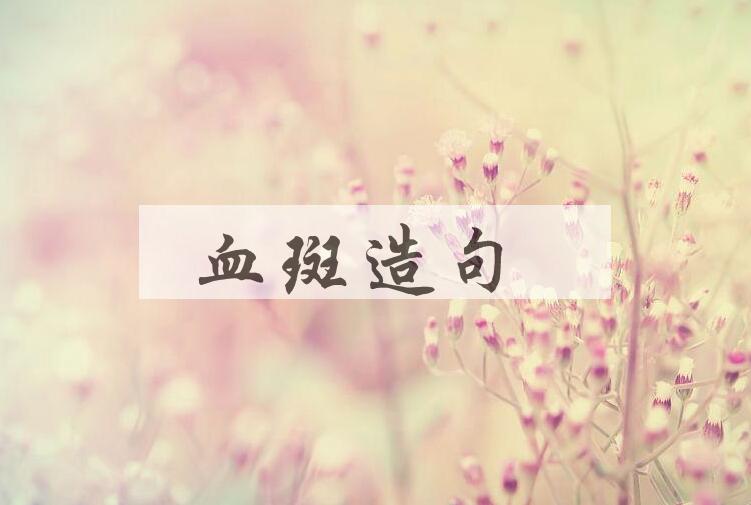 用血斑造句