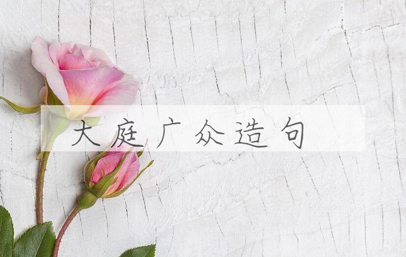用大庭广众造句