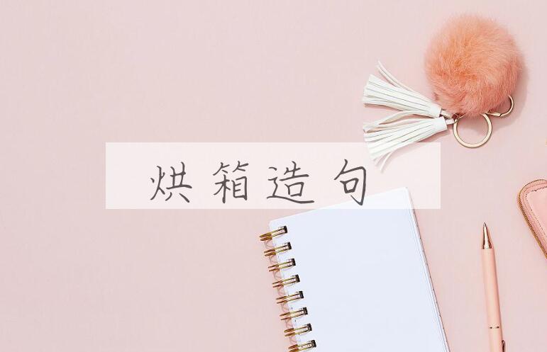 用烘箱造句