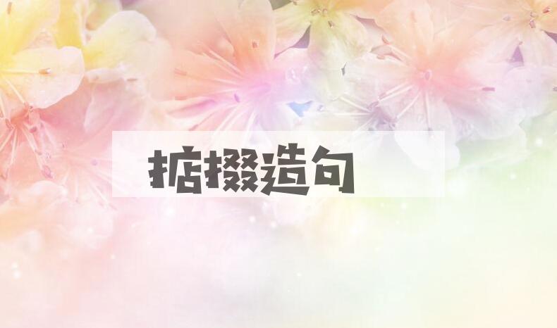 用掂掇造句