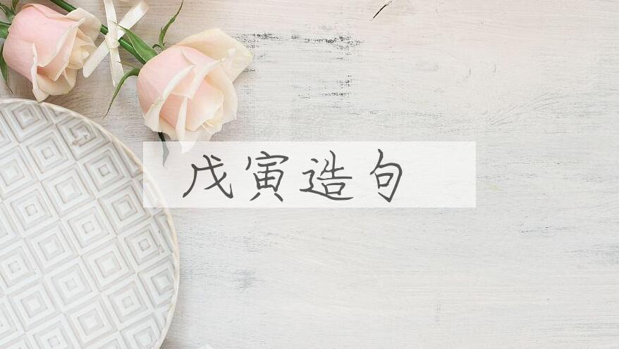 用戊寅造句