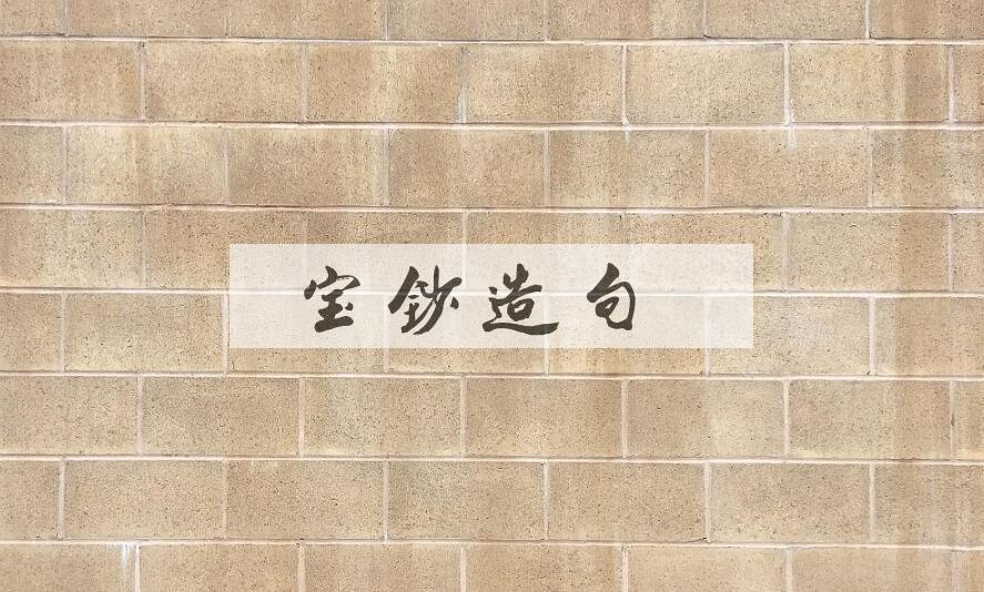 用宝钞造句