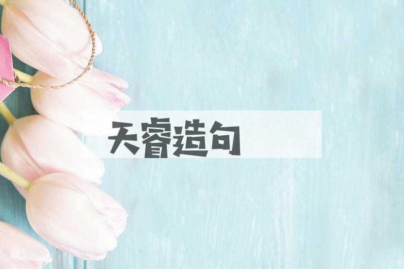 用天睿造句
