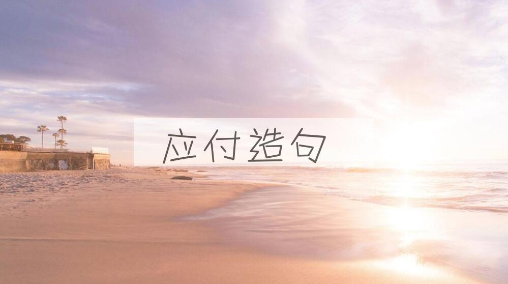 用应付造句
