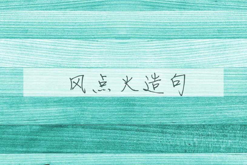 用搧风点火造句