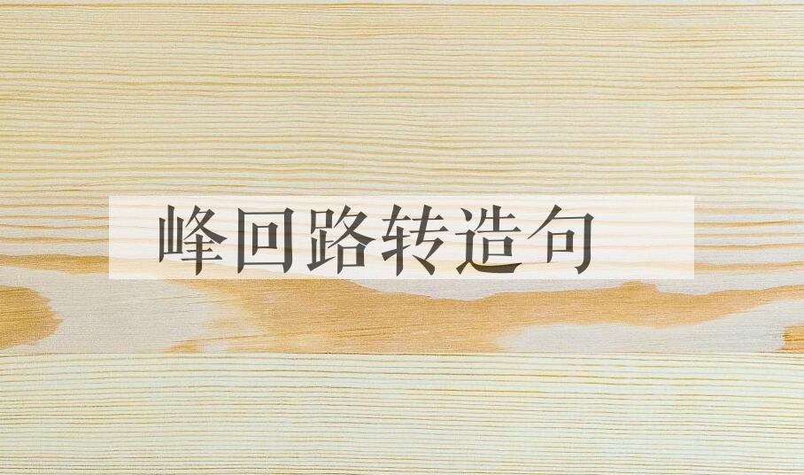 用峰回路转造句