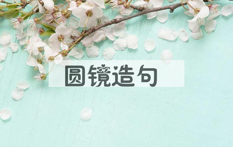 用圆镜造句