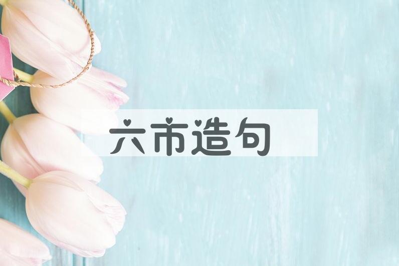 用六市造句