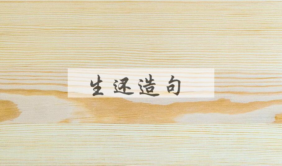 用生还造句