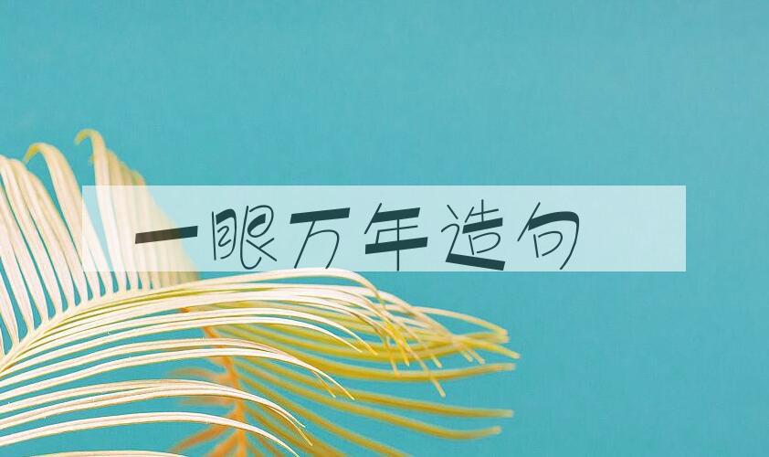 用一眼万年造句