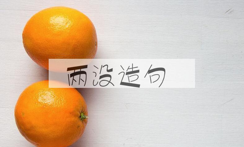 用两没造句