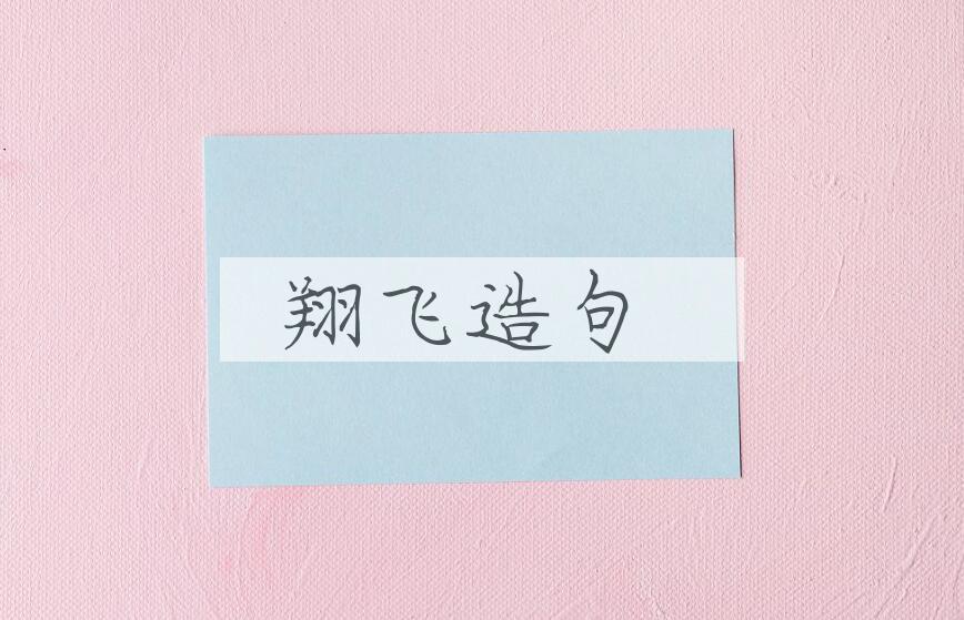 用翔飞造句