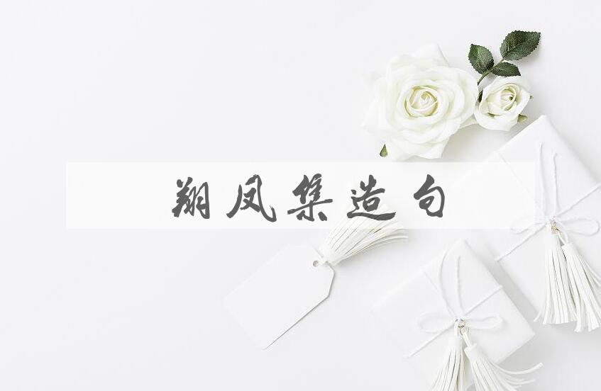 用鸾翔凤集造句