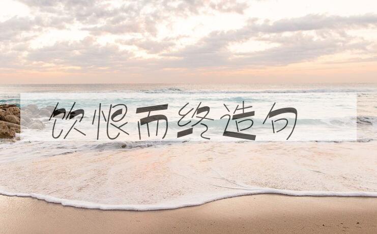 用饮恨而终造句