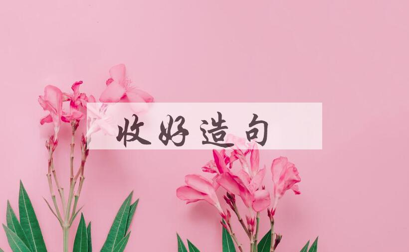 用收好造句