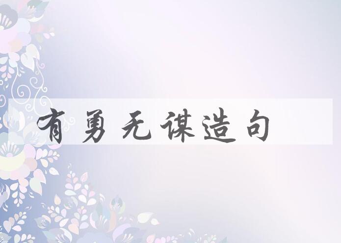 用有勇无谋造句