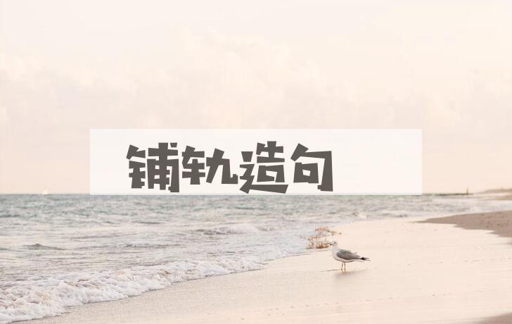 用铺轨造句