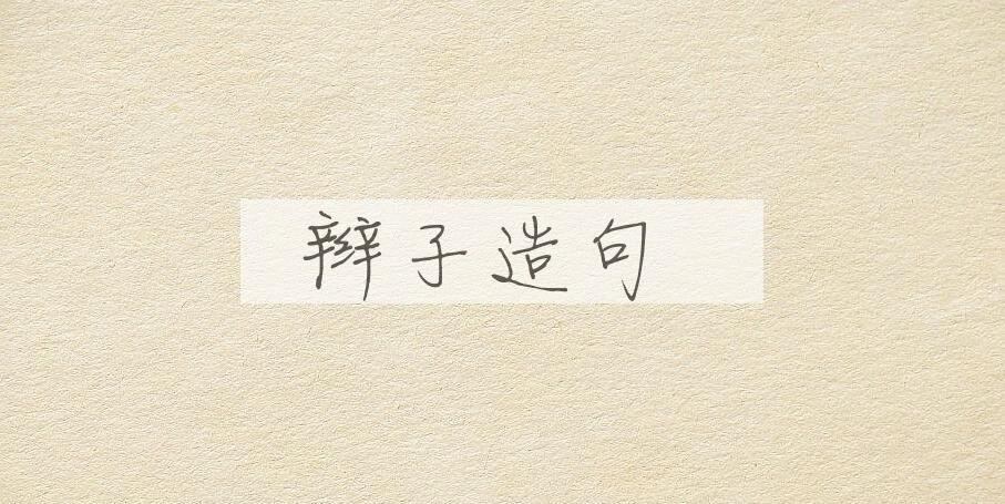 用辫子造句