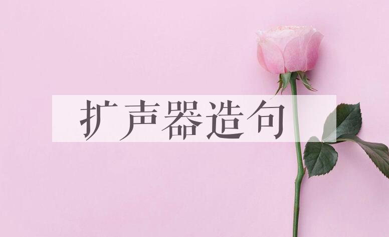 用扩声器造句