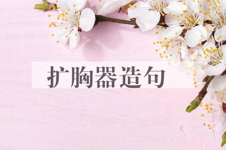 用扩胸器造句