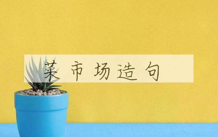 用菜市场造句