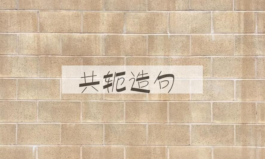 用共轭造句