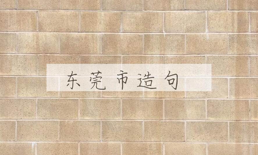 用东莞市造句