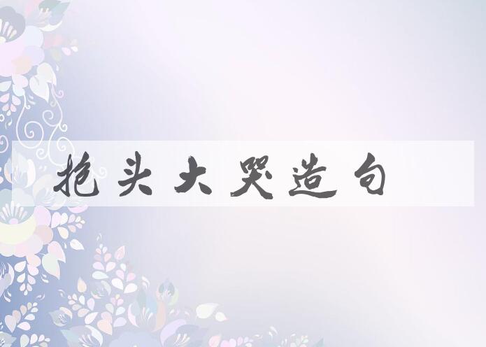 用抱头大哭造句