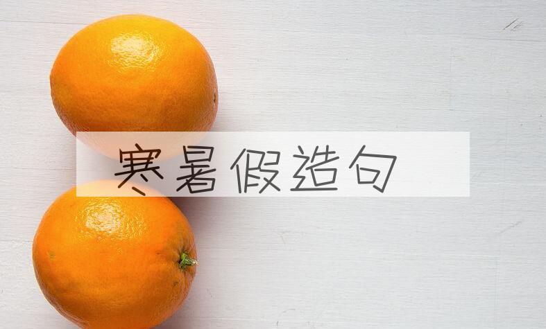 用寒暑假造句