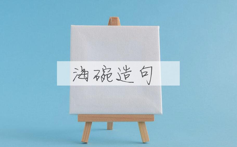 用海碗造句