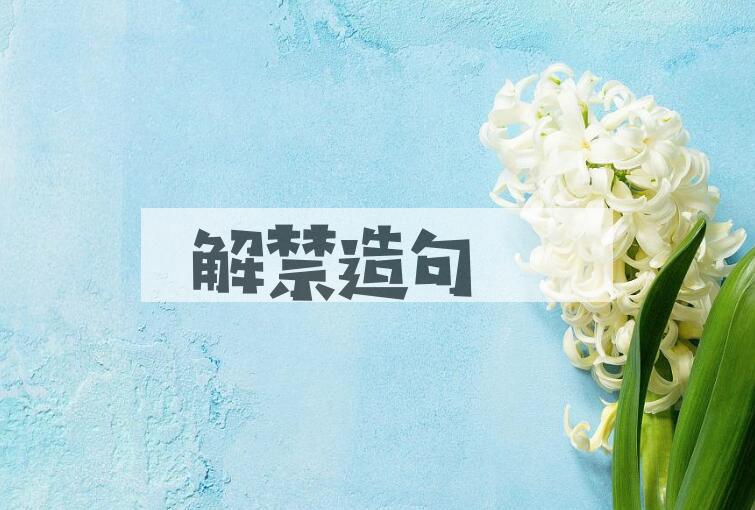 用解禁造句