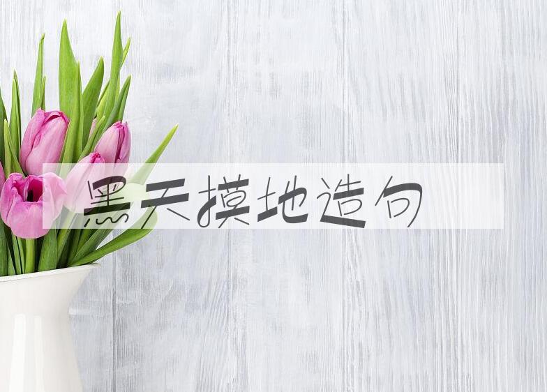 用黑天摸地造句