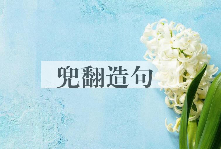 用兜翻造句