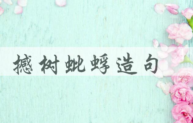 用撼树蚍蜉造句